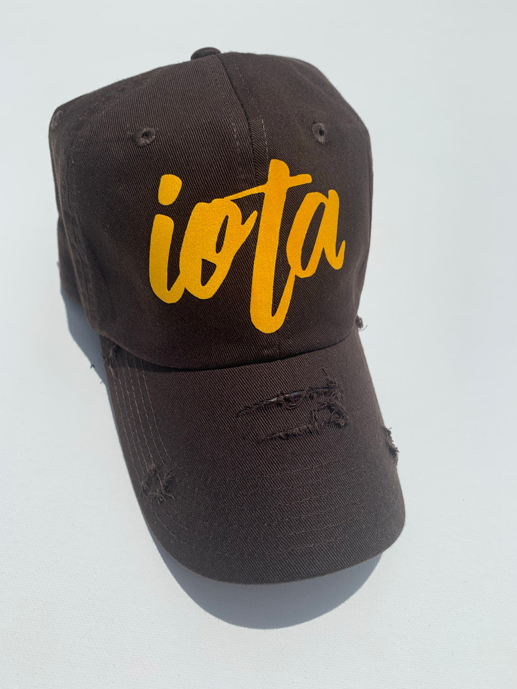 iota ‘Simpleek’ dad hat